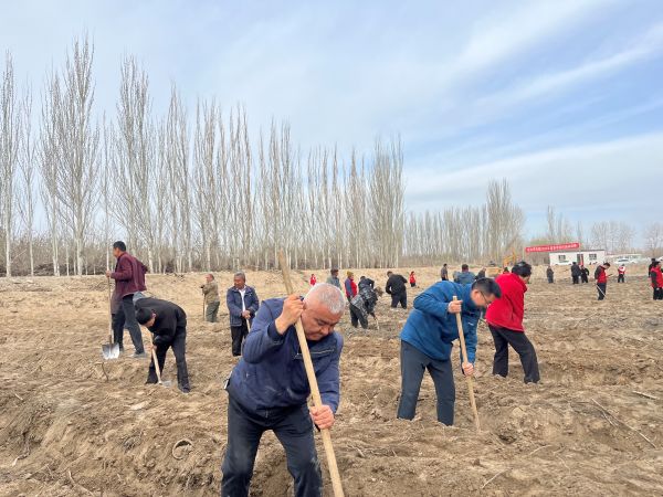 植树3.JPG