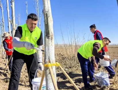 屏幕截图 2026-04-01 204516.png