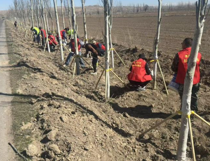 屏幕截图 2026-04-01 204519.png