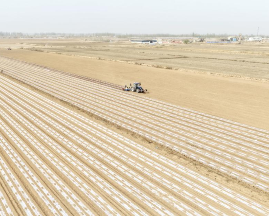 屏幕截图 2026-04-02 155516.png