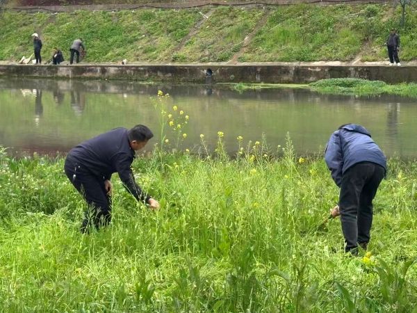 04021775127722267439.jpg 微信图片_20260331170727_143_66.jpg