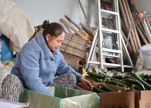 彭伊童 摄 (4).jpg