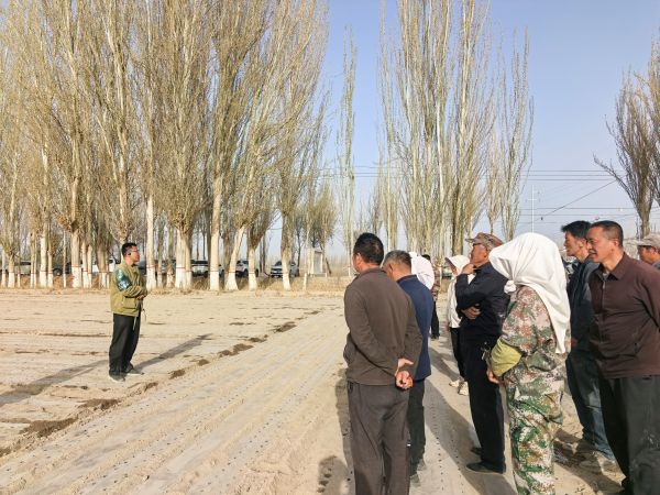 陈小燕 摄 (1).jpg