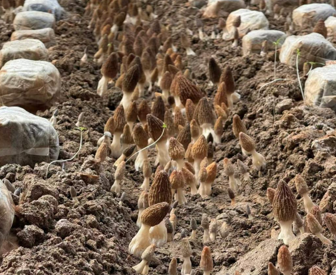 屏幕截图 2026-04-09 165300.png