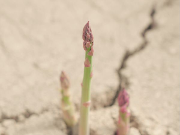 04091775731714498113.jpg 刘立 摄2.jpg