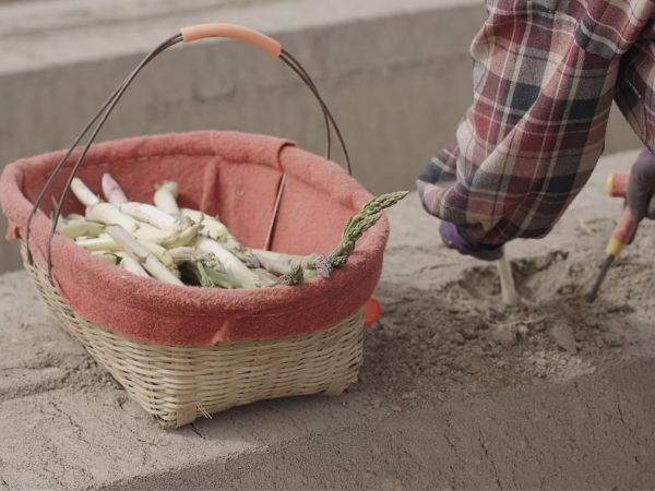 04091775731719760870.jpg 刘立 摄4.jpg