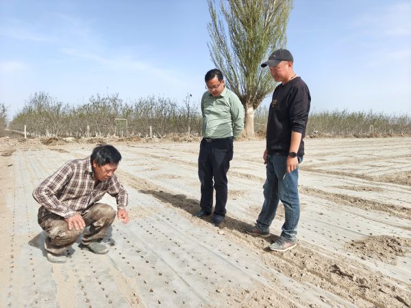 梁霄霄 摄 (2).jpg