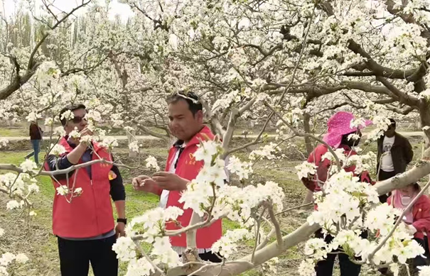 屏幕截图 2026-04-10 181910.png