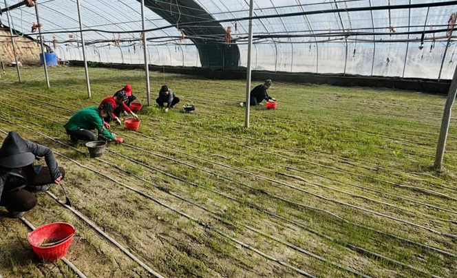 04101775816907135263.png 屏幕截图 2026-04-10 181913.png