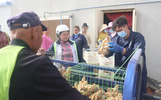 屏幕截图 2026-04-13 172208.png