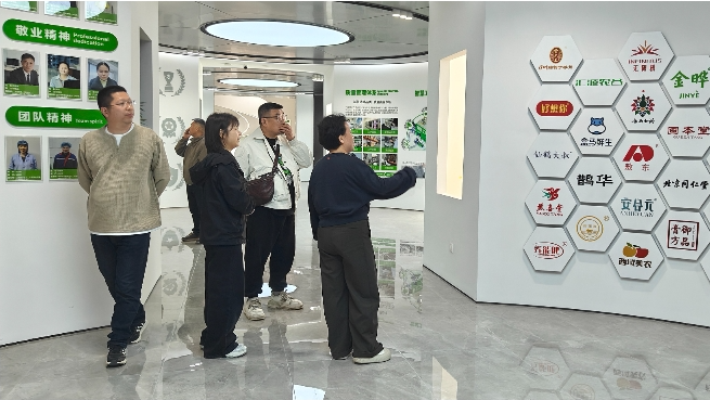 04131776073083624061.png screenshot-1776072941205.png