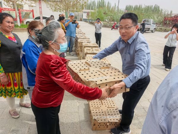 第一书记发放鸡苗.jpg