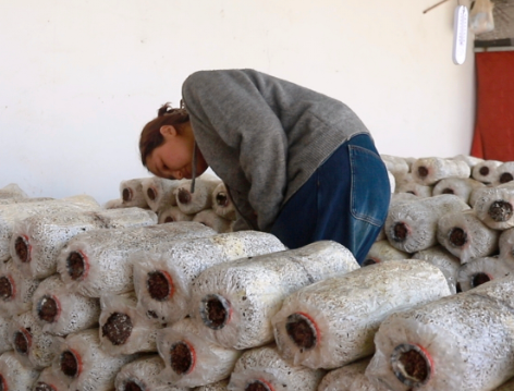 04141776172109968294.png 屏幕截图 2026-04-14 210749.png