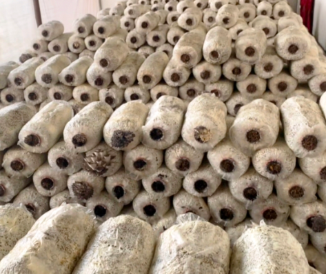 04141776172114575826.png 屏幕截图 2026-04-14 210755.png