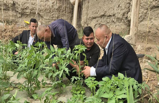 屏幕截图 2026-04-16 160509.png