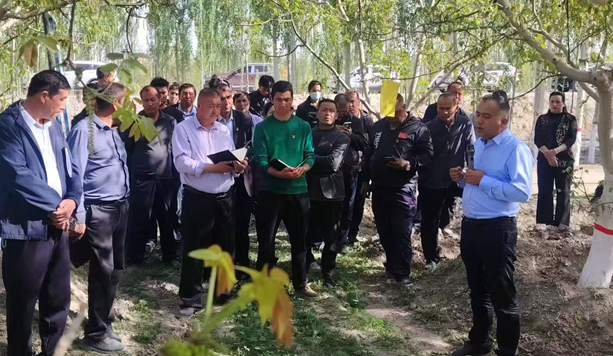 04161776334306943095.png 屏幕截图 2026-04-16 181124.png