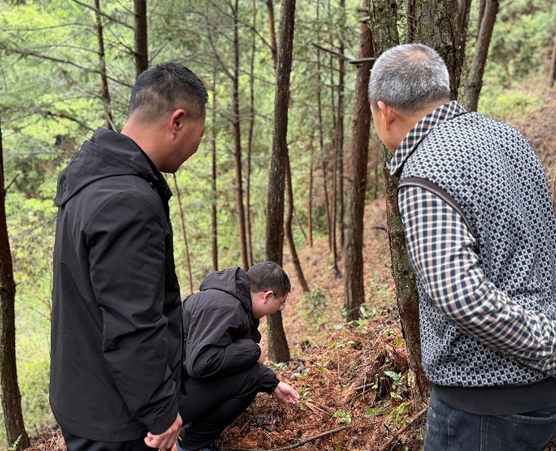 04161776341530743081.png 屏幕截图 2026-04-16 201151.png