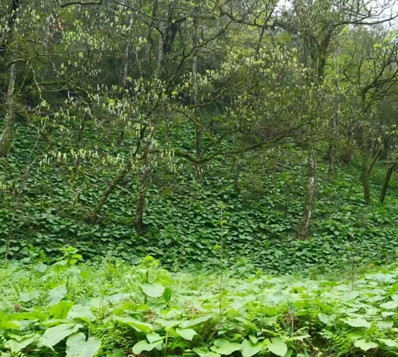 屏幕截图 2026-04-20 183857.png