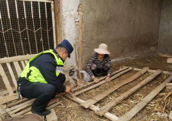 警务人员在帮群众搭羊圈.jpg