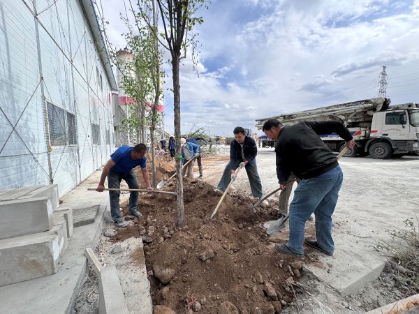 天筑白杨预拌砼公司开展春季义务植树活动.JPG