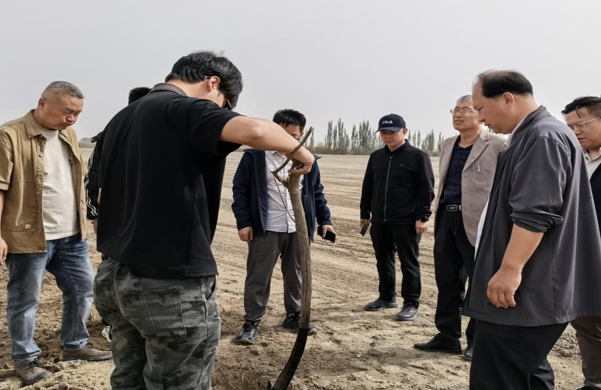 屏幕截图 2026-04-24 182428.png