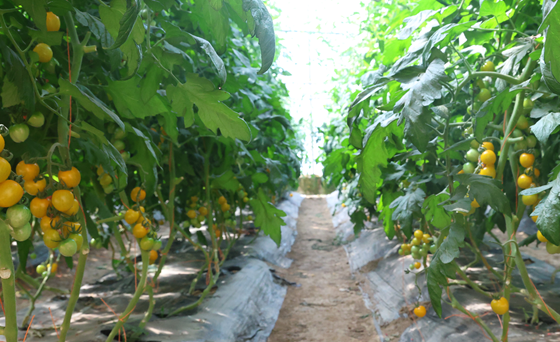 屏幕截图 2026-04-27 172641.png