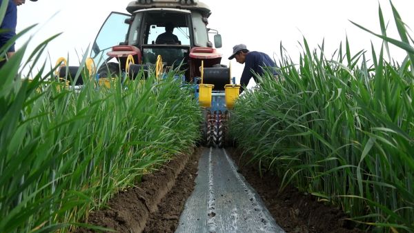 图尔荪江 摄 (1).jpg