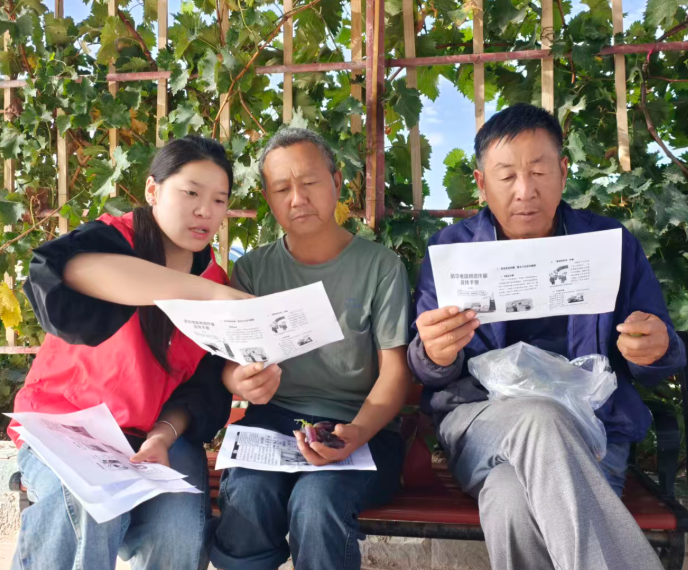 08311788175783215410.png 屏幕截图 2026-08-31 192931.png