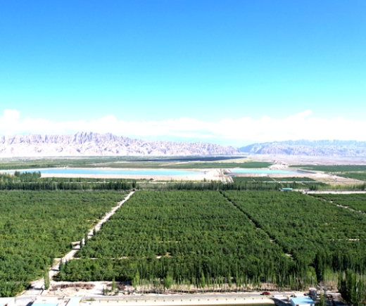 09011788260477667499.png 屏幕截图 2026-09-01 190055.png