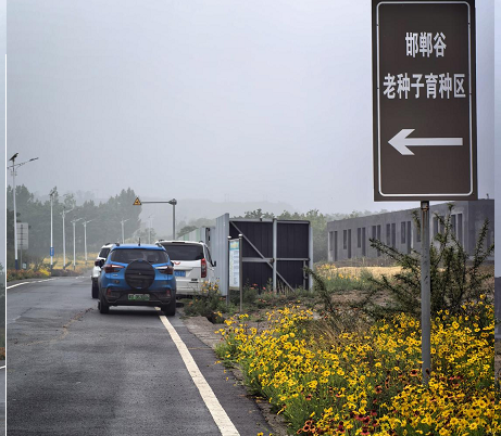 09201789867066103326.png 图片2.png