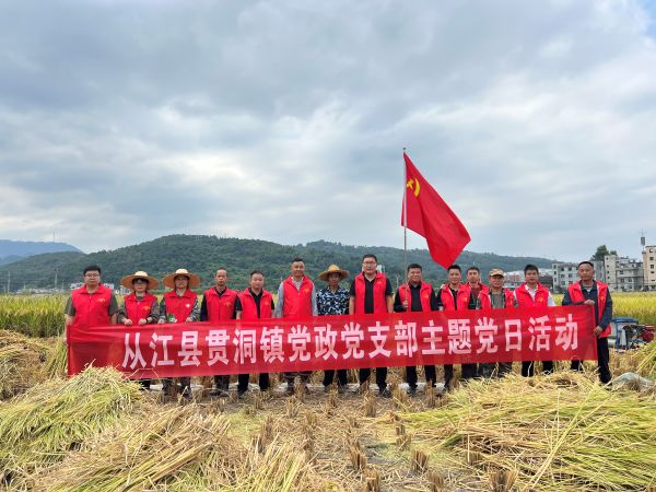 09201789904219358531.jpg 图为 贯洞镇组织党员干部开展拥军助农秋收主题党日活动现场(龙昭红 摄).jpg