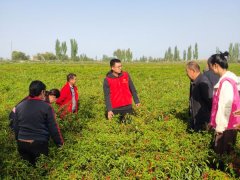 兵地同心庆中秋 交融共建暖民心