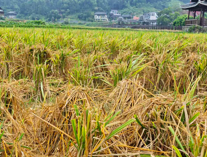 屏幕截图 2026-09-22 191038.png