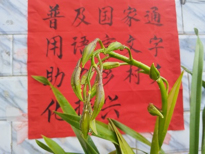 09241790215274508265.jpg 标语1_20260924094216.jpg