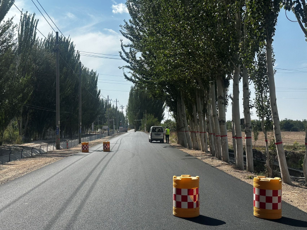 村内道路布设防撞警示桶.png