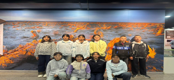 10121791809113240146.png 图片1.png