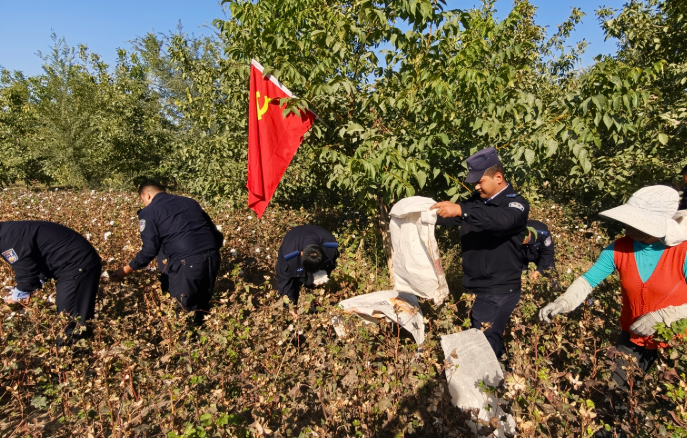 10131791900388445603.png 屏幕截图 2026-10-13 220516.png