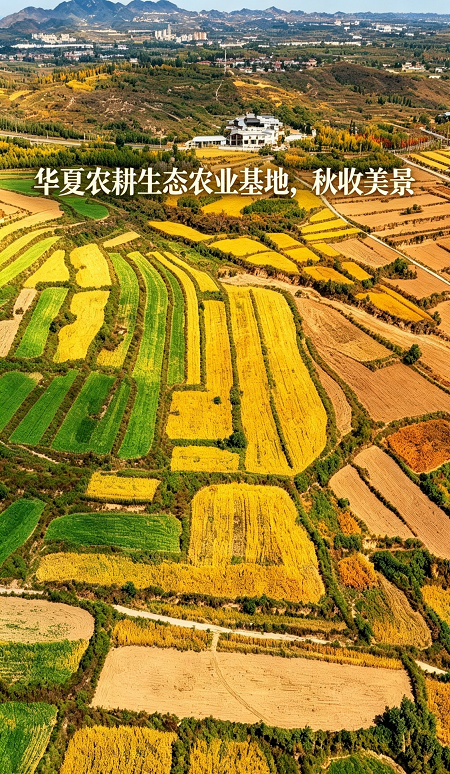 10191792414831448325.png 图片2.png