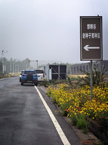 10191792414846888243.png 图片3.png