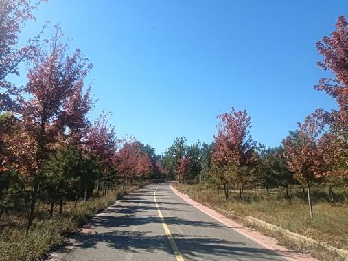 10221792663868422658.png 图片1.png